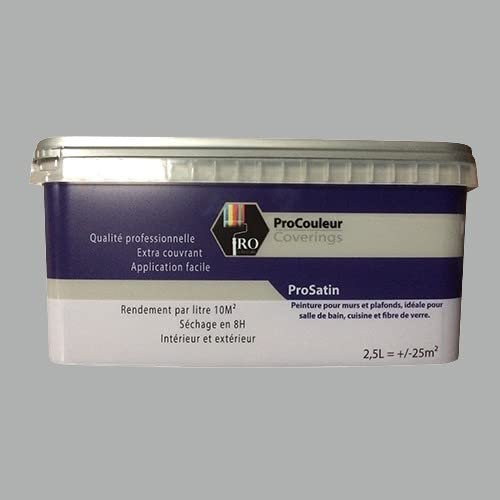 Pro Couleurs Peinture acrylique satinée 2,5L Gris ciment 2,5 L