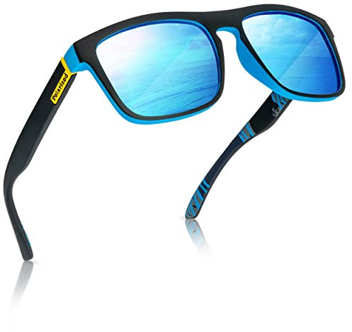 Two Horizons Sonnenbrille Herren Polarisiert | Polarisierte Sonnenbrille mit 100% UV-Schutz | Retro-Design | Ideal für Outdoor-Aktivitäten | Mit Etui und Mikrofaser-Brillenbeutel | Sonnenbrille Damen