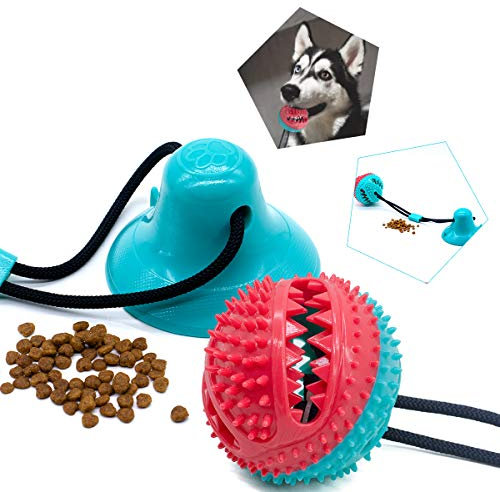 Happy Fox Jouet à tirer à ventouse pour chien, balle sur corde, jeu interactif, corde à tirer et jouet à ventouse amélioré pour faire glisser, mâcher et jouer