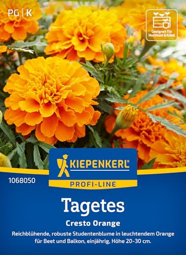 Kiepenkerl Tagetessamen Cresto Orange 1068050, Sommerblumensaat | Reichblühende