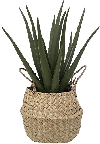 Atmosphera - Aloe Vera Artificiel - Pot en Roseau - H40 cm