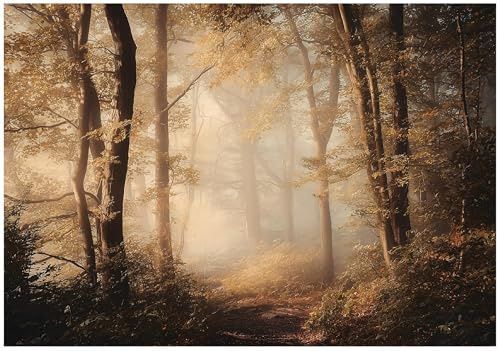 WallArena Vlies Fototapete, Wald, 300x210cm | Fototapeten - Tapeten - für Wohnzimmer Schlafzimmer - Vliestapete Wandtapete Tapete 3D Effekt- inkl. Kleister