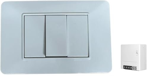 Kit Interruttore Smart Da Incasso Compatibile con Serie Plana – 1 Modulo Smart Ewelink,1 Pulsante 1P 16A, 2 Copriforo 1 Modulo, Supporto e Placca 3 Moduli, Compatibile Con Assistenti Vocali