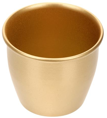 Jardinière D'extérieur en Métal pour Porche D'entrée, Style Moderne | Plantes D’intérieur Moyennes, Salon et Entrée, Finition Fer Doré, Usage Simple