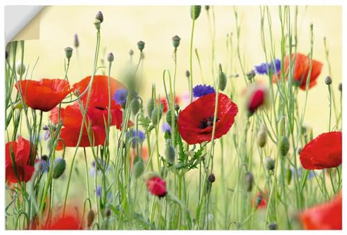 ARTland Wanddeko Wandtattoo selbstklebende Vinylfolie 90x60 cm Pflanzen Blumen Mohn Mohnblumen Kornblumen Blumenwiese Sommer U4YP
