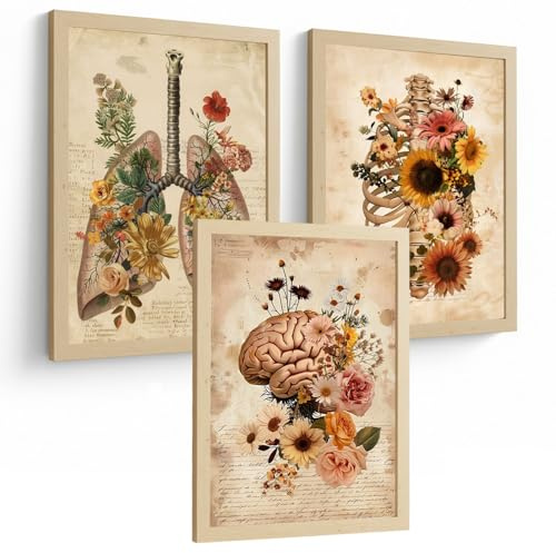 Nacnic Set Aus 3 Anatomie Mensch Vintage Florale Poster Drucke Und Wandbilder Mit Lungen Brustkorb Und Gehirn Botanischer Antiker Stil Medizinische Wanddekoration Größe A3 Rahmenlos
