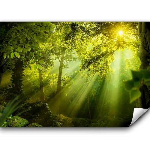 murando Fototapete selbstklebend Wald 343x256cm Foto Tapete Tapetenfolie Möbelfolie Wandverkleidung Wandtapete Motivtapeten Bildtapete Wohnzimmer 3d Effekt Modern Natur Landschaft grün c-A-0077-a-a