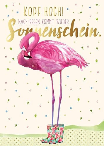 Gutsch Verlag Postkarte Spruch Kopf hoch! Nach Regen kommt wieder Sonnenschein