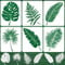 Malschablonen Set-6 Stück Botanical Zeichnen Schablonen, 40 * 30 cm Tropische Blätter DIY Zeichnung Malschablonen, Wiederverwendbare Kunststoff Vorlagen für Wände, Möbel, Stoffpolsterung