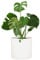 Fox & Fern Macetero, 2 Maceteros Decorativos Interior, Macetas Exterior Grandes, Una Maceta Grande Plantas y Flores Resistente a Rayos UV y Heladas, Maceteros Exterior Tapón de Drenaje, Polystone