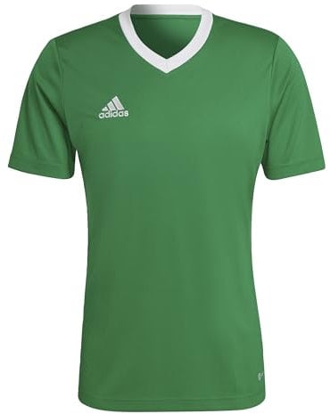 adidas Men's Entrada 22 Jersey, Team Green/White, 3XL