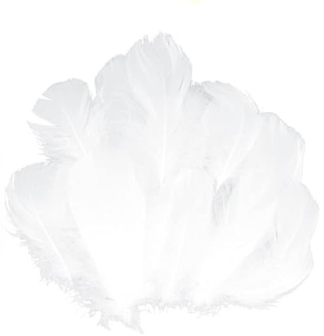 GoldRock 300 Stk Weiße Federn zum Basteln,Federn Weiss Flauschig 8-13cm,Federn Weiss Deko,Natürliche Feder,Engelsflügel zum Basteln,Federn zum Basteln Weiß für Christmas,Traumfänger,Kopfschmucksfedern