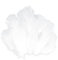 GoldRock 300 Stk Weiße Federn zum Basteln,Federn Weiss Flauschig 8-13cm,Federn Weiss Deko,Natürliche Feder,Engelsflügel zum Basteln,Federn zum Basteln Weiß für Christmas,Traumfänger,Kopfschmucksfedern