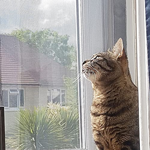 Flat Cats Window Protection for Cats Standard Twin Pack (Grey Mesh/White Fixings, 36 x 42)