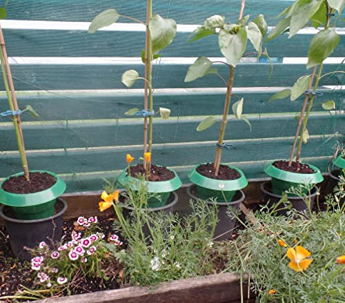 Plastic Slug Collars - Slug and Snail Barriers for Plants (Pack of 4)