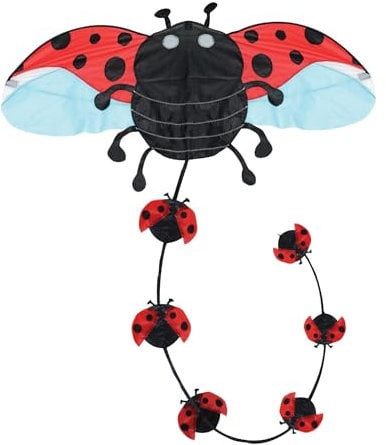 Brookite- Ladybird Kite Cerf-Volant, 30038, Multicolore