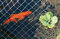 Garden Mile 4m x 10m Garden Netting Mesh Heavy Duty Weatherproof 15mm Pond Netting For Plants And Bird Deterrents Garden Net Mesh Protection Flexible Cover Outdoor Greenhouse Bird Netting Accessories