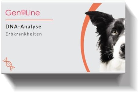 GenoLine DNA Erbkrankheiten Analyse Hund (Best)