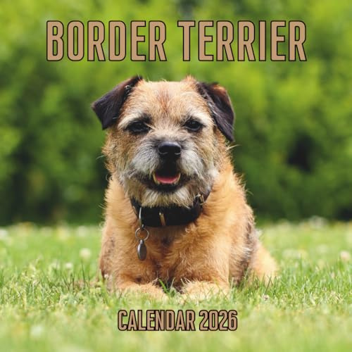 Border Terrier Calendar 2026: 14-Month Organizer from Nov 2025 to Dec 2026 | Perfect for Home, Office, School & Family Scheduling, For Men , Women , Girls , Boys