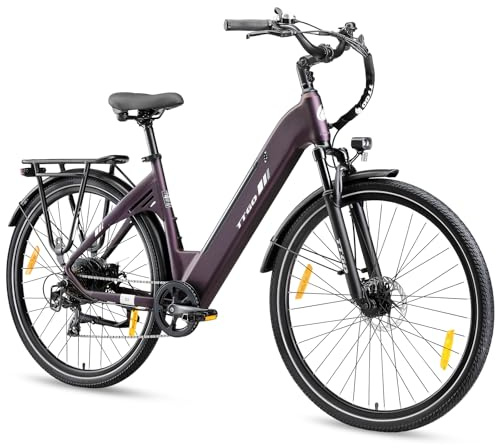ttgo E Bike 28 Zoll Elektrofahrrad für Erwachsene, 250W Motor, 52 Nm Drehmoment, 36V 18Ah Akku, 80–120 km Reichweite, Alurahmen, 7-Gang, Scheibenbremsen, LCD Display, C3 SE
