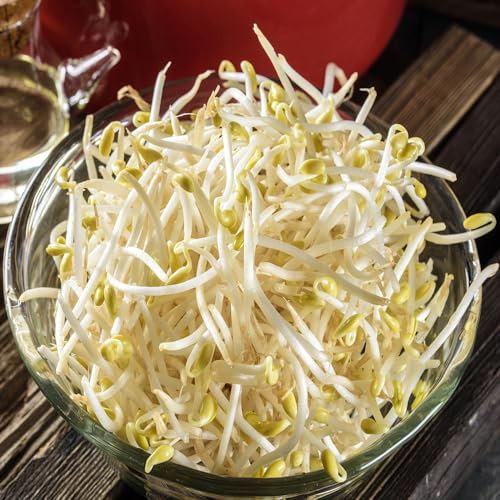 keimsprossen samen bio steingartenpflanzen winterhart winterharte pflanzen für garten zimmerpflanze exotische samen wintergemüse samen hochbeete für garten gemüsepflanzen 100pcs