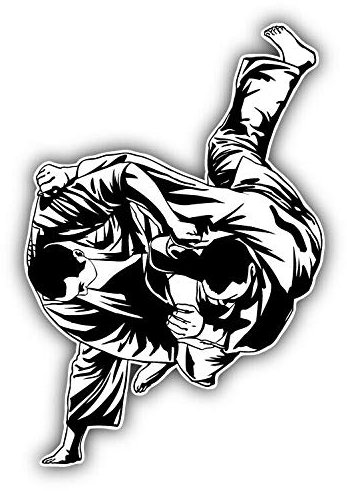 10cm! Klebe-Folie Wetterfest Made-IN-Germany Judo Fighters G2768 UV&Waschanlagenfest Auto-Aufkleber Sticker Decal