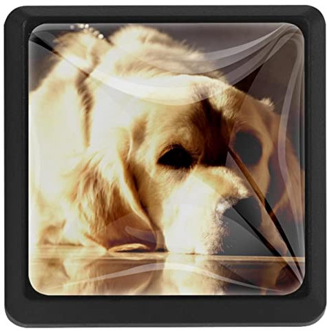 BUJOJUB Hund, 3 Stück Schubladenknöpfe, Schubladengriffe, Schrankknöpfe, Möbelknöpfe, Kommodenknöpfe für Küche Schrank