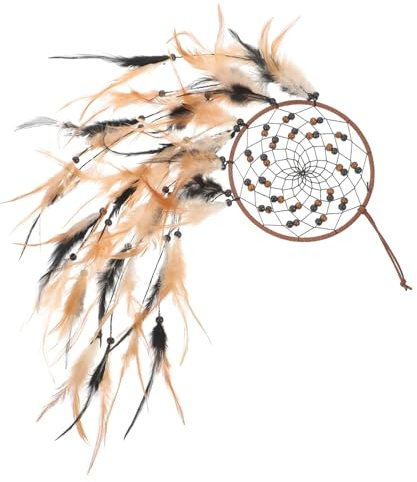 SOLUSTRE Handgefertigter mit Federn und Quasten Kreatives Wanddekor für Wohnzimmer und Schlafzimmer Einzigartiger Hängender Wandschmuck Romantische Geschenkidee