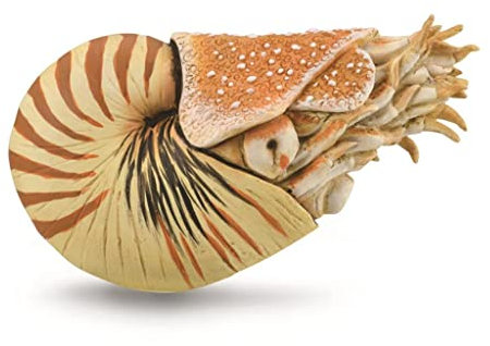 Collecta spieltier Urgeschichte Nautilus 10 cm ABS beige