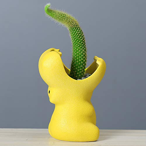 BYVUTE Pots de plantes succulentes en céramique hippopotame, pot de fleurs créatif pour jardinage, plantes grasses, fleurs, cactus, pour l'intérieur et l'extérieur, le bureau, la maison, le jardin, la