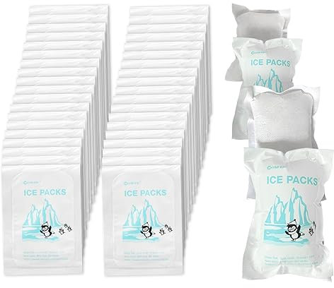 World-Bio 50PCS Eisbeutel für den Versand, Kühlakkus für Transport&Gefrierschränke - Geeignet für Lunch Box, Travel Cool Box, Camping Kühltaschen, Wiederverwendbare Kühlpads,Größe - 4,7x 3,3