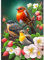 DAERLE Oiseaux avec fleurs Diamond Painting 5D Complet, Peinture Diamant Adulte, Animal Diamant Kits, Diamant Strass Point de Croix Cristal Painting pour Murale Décoration 30x40cm