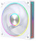 Jungle Leopard Transwarp Double-Aura A-RGB Ventilateur 120MM (WH, 1)