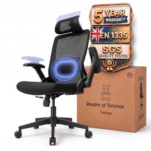 Realm of Thrones VALOUR Ergonomic Office Chair for Home, Gaming Desk Chair, 3D Headrest/High Back Mesh/Comfort Cushion Seat/2D Rotating Armrests/Adjustable Lumbar Support/Heavy Duty Steel Base (Black)