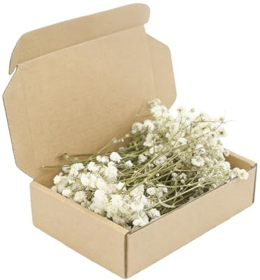 Schleierkraut Getrocknet, 150 Trockenblumen Schleierkraut Klein Weiß Echte | Trockenblumen zum Basteln Echte Natur für DIY Kerze Harz Schmuck Nagel Kunst Basteln