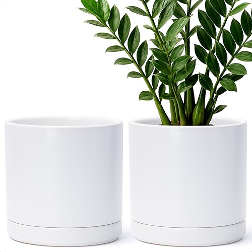 D'vine Dev Lot de 2 Pots de Fleurs en céramique de 21,6 cm, avec Trou de Drainage et Soucoupe, Blanc, 94-V-D-1