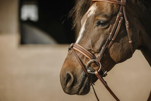 EKKIA Eric Thomas Trense Trensenzaum Work Büffelleder Havana Sperriemen abnehmbar, Größe Pferd:Cob