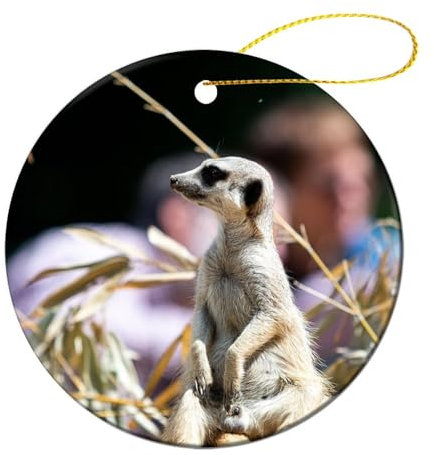 Weihnachtsbaum Ornament, Süße Erdmännchen Zootiere Christbaum Baumschmuck Anhänger Mit Seil Weihnachtsbaum Ornamente Hängende Ornamente Für Weihnachtsbäume Deko