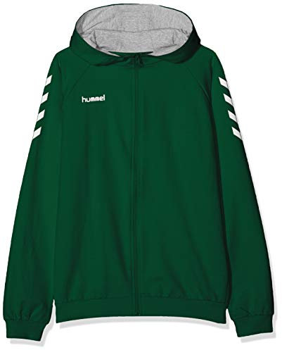 Hummel Unisex Kinder Hmlgo Kids Cotton Zip Hoodie Kapuzenjacke, Grün (Evergreen), 164