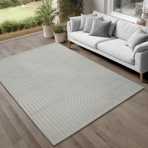 the carpet Parma Teppich Wohnzimmer, Schlafzimmer, Outdoor geeignet, waschbar, moderner Kurzflor mit Hoch-Tief-Effekt, angenehm weich, Grau, 120 x 160 cm
