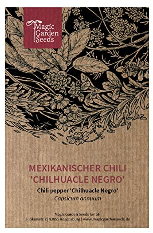 Mexikanischer Chili 'Chilhuacle Negro' (Capsicum annuum) - ca. 10 Samen