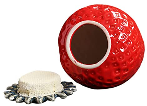 Abaodam Luftdichte Keramik-teedose Aufbewahrungsbox Für Küche Behälter Für Getrocknete Lebensmittel Mit Deckel