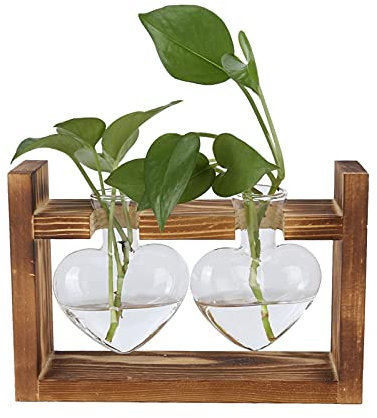 Terrario para Plantas con Soporte de Madera, Estaciones de Propagación de Plantas, Macetas Colgantes, Jarrón de Cristal de Transparente en Forma de Corazón para Plantas de Agua Verde Apto(B)