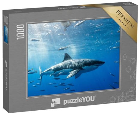 puzzleYOU: Puzzle 1000 Teile „Weißer Hai in Mexiko“ – aus der Puzzle-Kollektion Haie, Raubtiere, Fische & Wassertiere