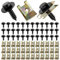 Amentalove 72 PCS Blechmutter Schraube Mutter Clip Kit, 36 Sätze Edelstahl Feder Blechnmutter und U Typ Karosserieschrauben, Kotflügelclip Blechmuttern Befestigung Clips für Auto