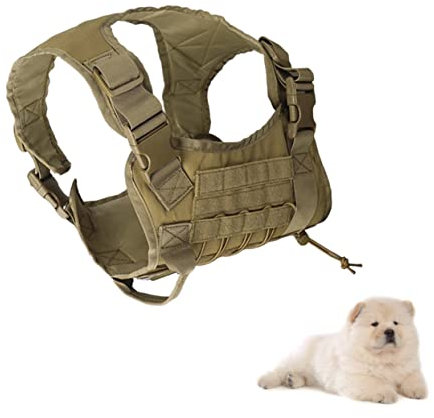 Beavorty Service Dog - Für Hunde 1000d Nylon Bequem Mit 4 Schnallen Und Leinenbefestigung