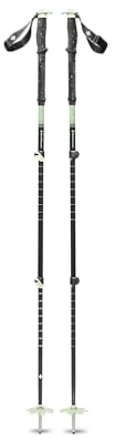 Expedition 3 Ski Poles