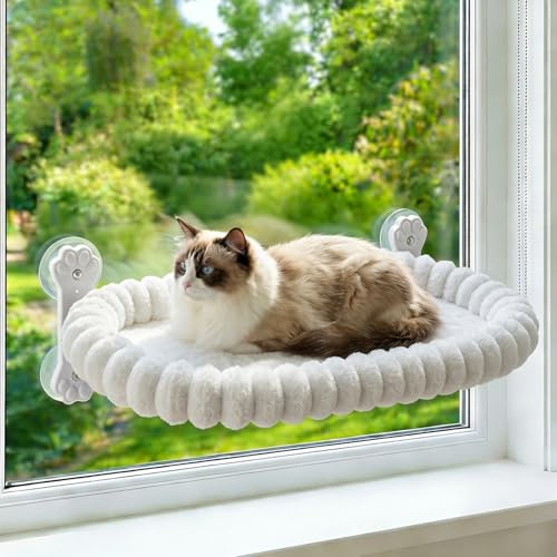 Homegroove Cat Window Perch, 24 x 12 Inch Foldable Cat Hammock for Window with 4-Sided Bolster & 4 Large Suction, Cordless Window Bed for Indoor Cats (White, Large(60x30cm))