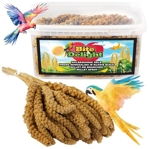 Bite & Delight 0,5 kg miglio stantuffo, mangime per uccelli ornamentali, pappagalli, mangime per pappagalli