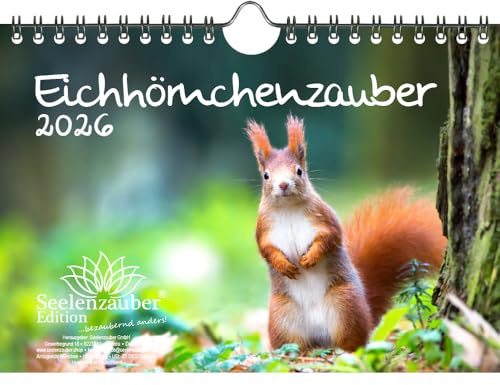 Eichhörnchenzauber DIN A5 Kalender für 2026 Eichhörnchen - Seelenzauber